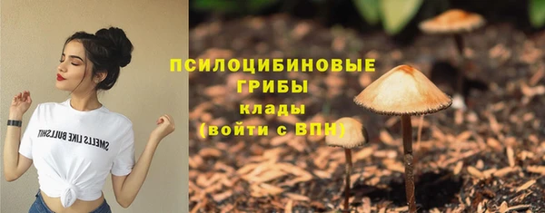 молекула духа Медвежьегорск