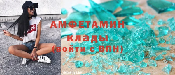 индика Магас