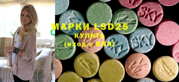индика Магас