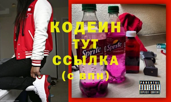 индика Магас