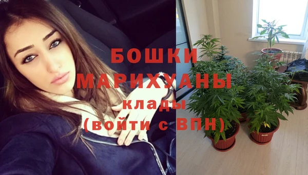 индика Магас