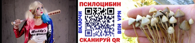 Псилоцибиновые грибы GOLDEN TEACHER  omg вход  Щучье 